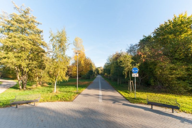 Pappel-Allee Pappel-Allee