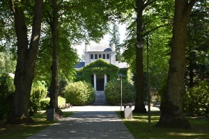 Hauptweg auf dem Neuen Friedhof in Greifswald - © Pressestelle der Universitäts- und Hansestadt Greifswald Hauptweg auf dem Neuen Friedhof in Greifswald