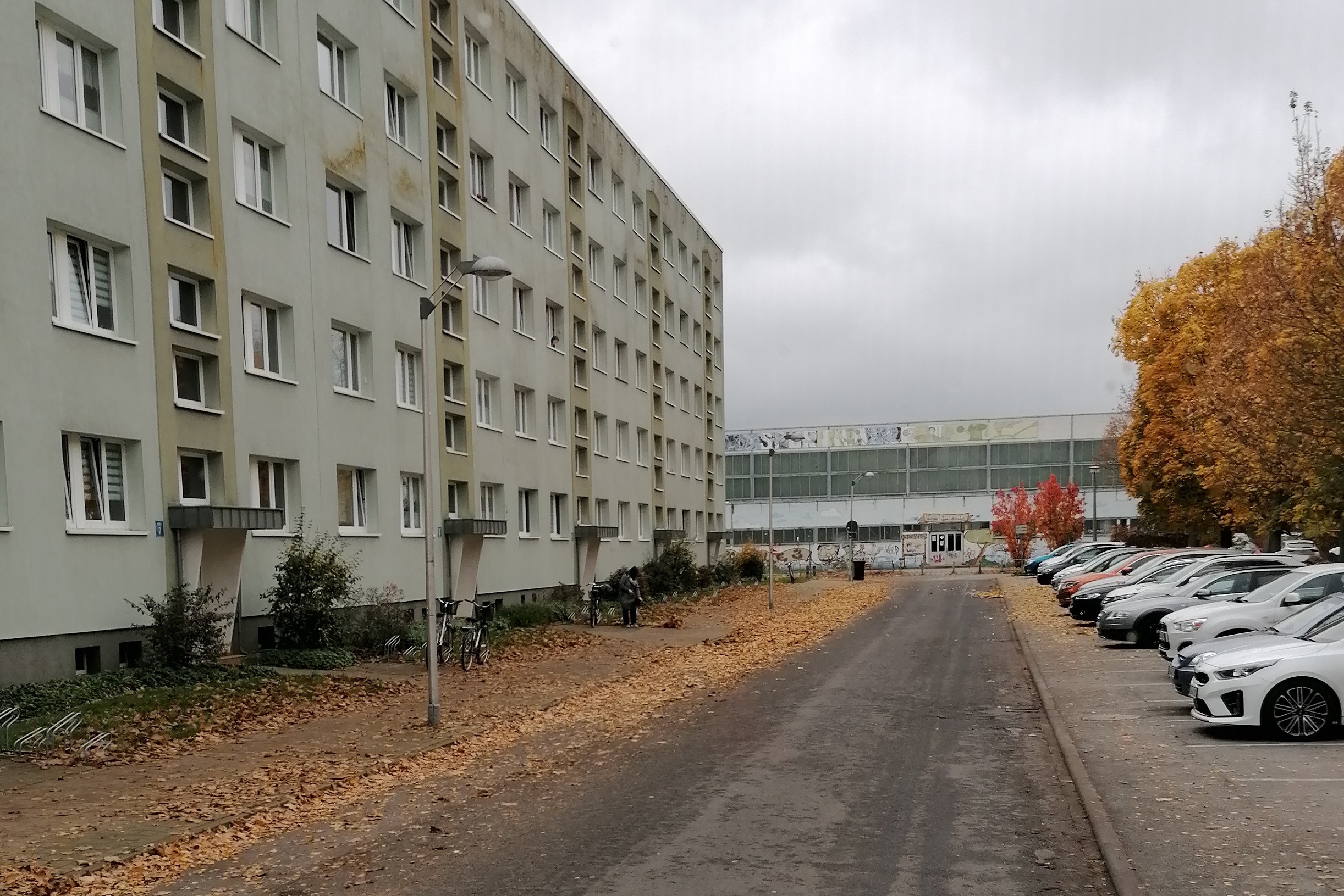 /export/sites/hgw/de/.galleries/Pressestelle-Pressemitteilungen/Pressemitteilungen-2022/Laubhaufen-auf-der-Strasse-Foto-Tiefbau-und-Gruenflaechenamt.jpg