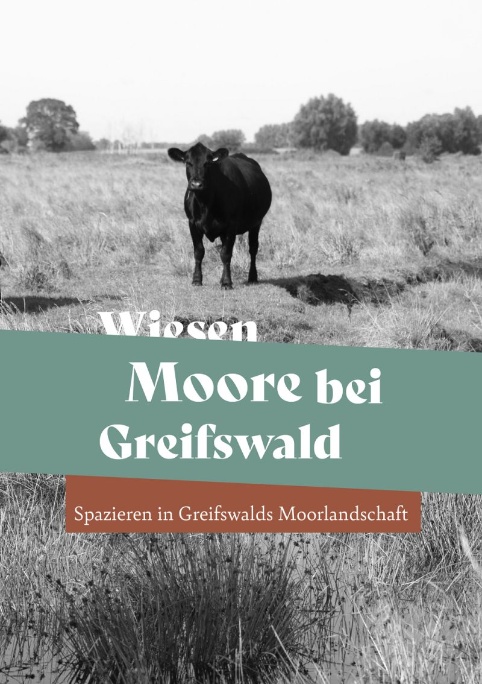 Moore bei Greifswald