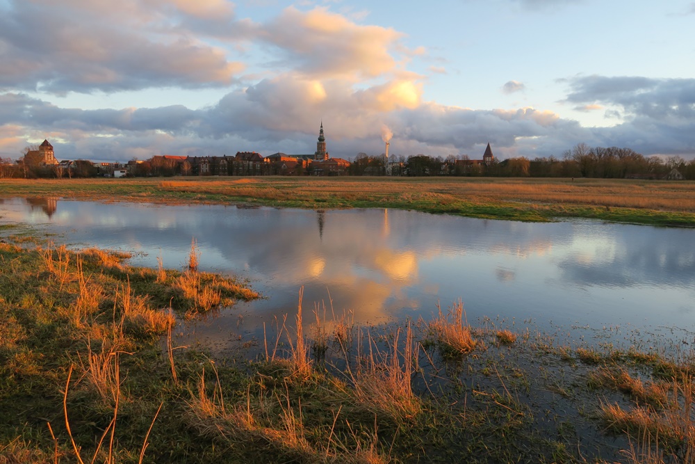 /export/sites/hgw/de/.galleries/Pressestelle-Pressemitteilungen/Pressemitteilungen-2022/Moorspaziergang-II-Foto-Christoph-Schaller.jpg