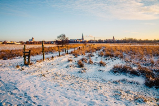 Greifswalder Stadtsilhouette im Winter 2016