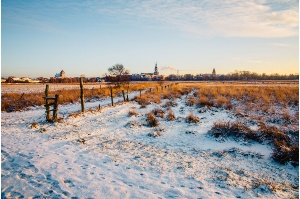 Greifswalder Stadtsilhouette im Winter 2016