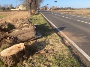 Umgestürzte Bäume mussten von der Straße geräumt werden