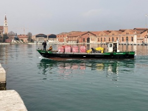 Torfmoose gondeln durch Venedig