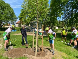 Dr. Fassbinder und Radfahrer pflanzen Baum auf einem Spielplatz