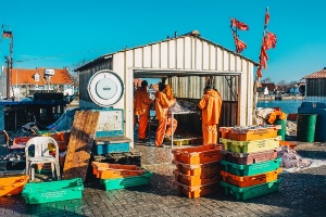 Arbeitende Fischer in Wieck