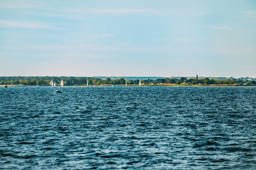 Blick vom Greifswalder Bodden, auf dem einige Segelschiffe fahren, auf den Greifswalder Stadtteil Wieck