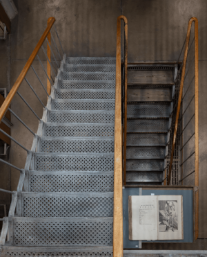Blick von oben auf eine Treppe in der Alten Universitätsbibliothek Greifswald