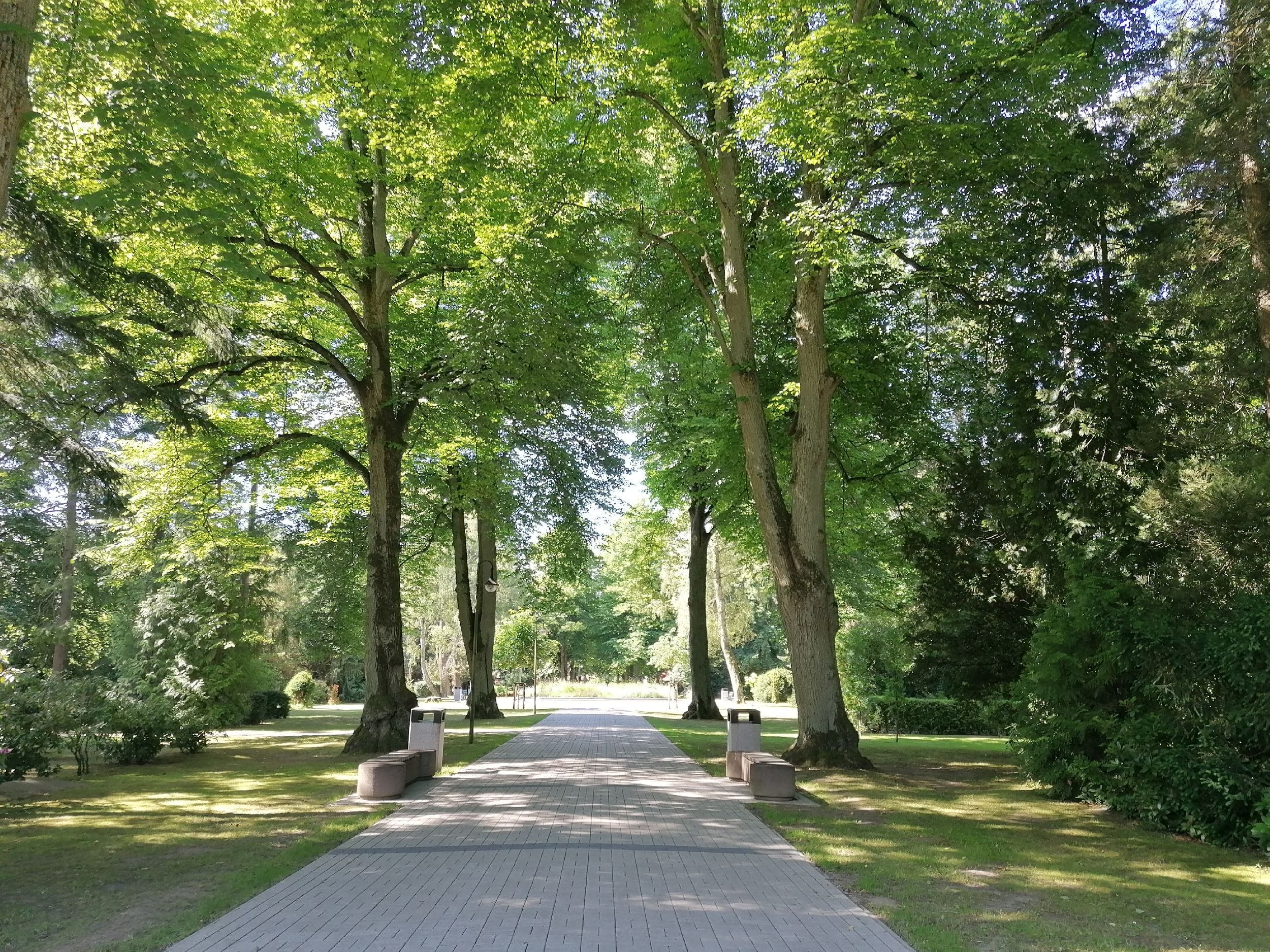 /export/sites/hgw/de/.galleries/Pressestelle-Pressemitteilungen/Pressemitteilungen-2023/Friedhof_SanierungVorplatz_Vopel24062020-3-min.jpg