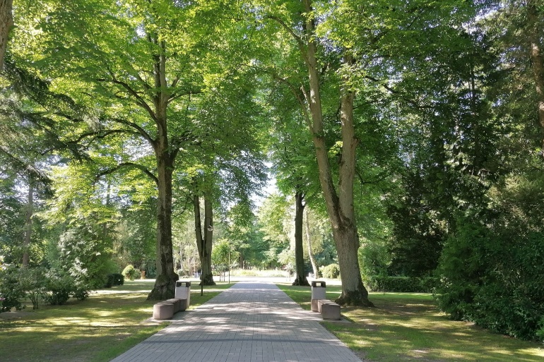 Eingang Neuer Friedhof mit zwei Bänken sowie mehreren Bäumen rechts und links vom Gehweg