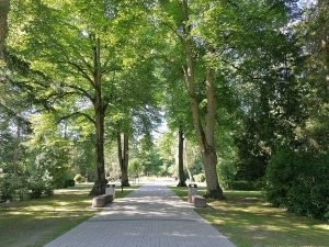 Eingang Neuer Friedhof mit zwei Bänken sowie mehreren Bäumen rechts und links vom Gehweg - © Pressestelle der Universitäts- und Hansestadt Greifswald Eingang Neuer Friedhof mit zwei Bänken sowie mehreren Bäumen rechts und links vom Gehweg