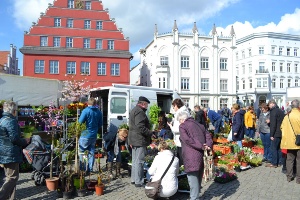 Greifswalder Gartenmarkt © Pressestelle der Universitäts- und Hansestadt Greifswald Gäste des Greifswalder Gartenmarktes kaufen Blumen und Sträucher