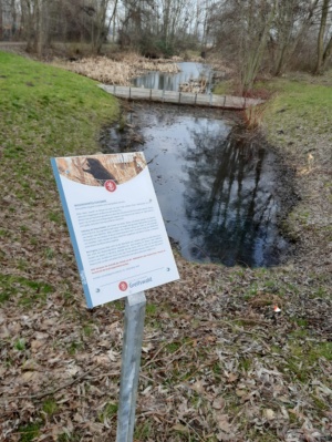 Eine Hinweistafel im Greifswalder Stadtgebiet an einem Teich gibt wissenswerte Informationen zum Biber