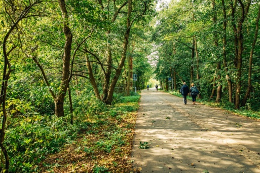 Fußgänger spazieren im Stadtpark entlang der Pappelallee in Greifswald