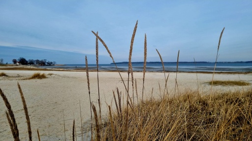 Blick auf das Strandbad Eldena im Februar 2023 bevor die Sandaufschüttung beginnt