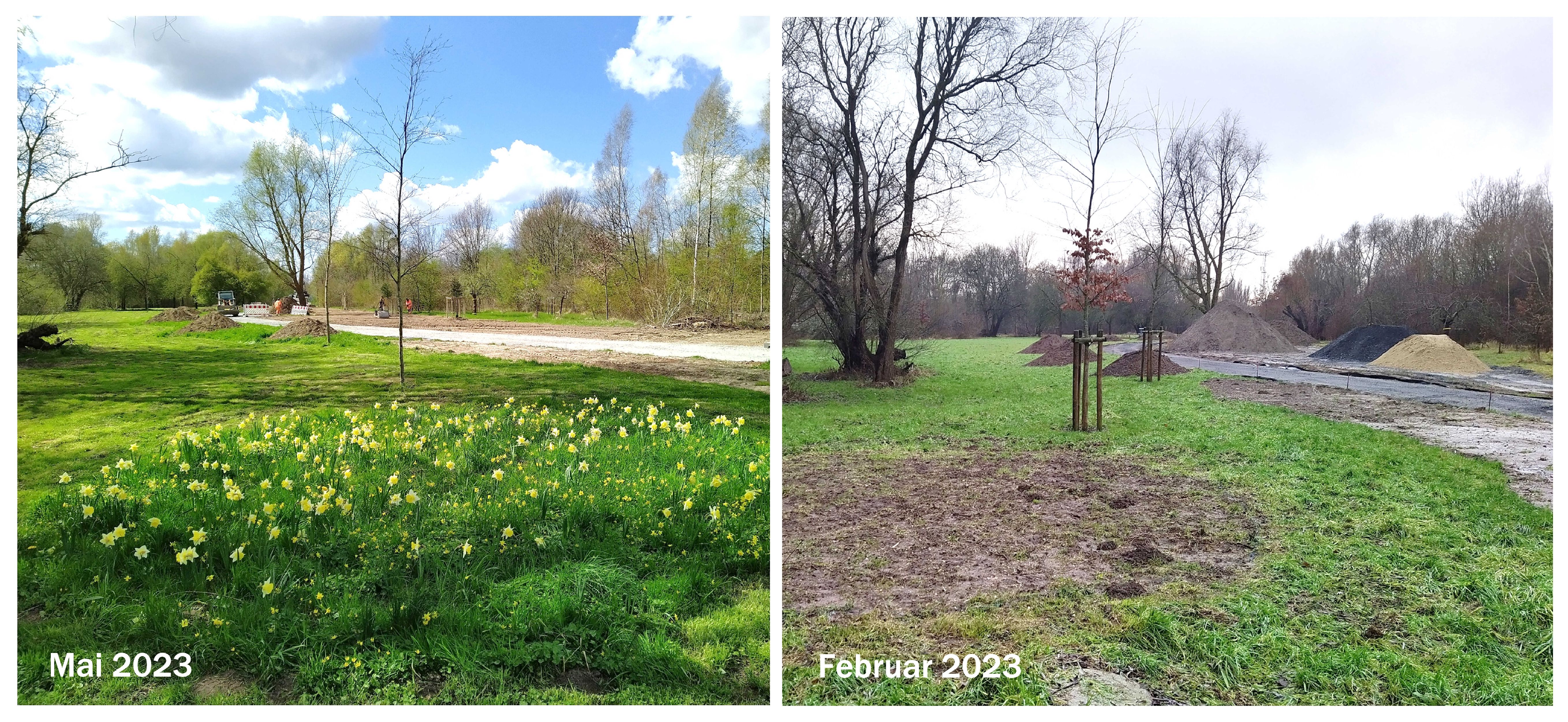 /export/sites/hgw/de/.galleries/Pressestelle-Pressemitteilungen/Pressemitteilungen-2023/entfernte-Dreiboecke-fuer-Jungbaeume-im-Stadtpark-Foto-Bjoern-Treber.jpg