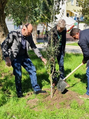 Vertreter aus Samos und Oberbürgermeister Dr. Stefan Fassbinder pflanzen gemeinsam einen Baum als Symbol einer wachsenden Freundschaft - © Anett Dahms Vertreter aus Samos und Oberbürgermeister Dr. Stefan Fassbinder pflanzen gemeinsam einen Baum als Symbol einer wachsenden Freundschaft