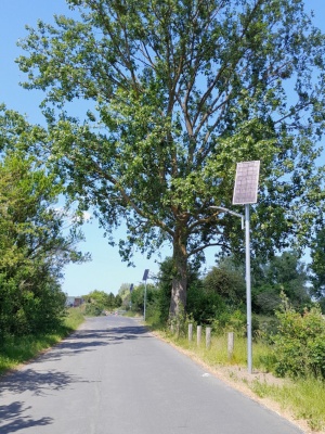 Neue Straßenlaternen mit Solarpaneel entlang der Straße Am Neuen Friedhof - © Tiefbau- und Grünflächenamt Neue Straßenlaternen mit Solarpaneel entlang der Straße Am Neuen Friedhof