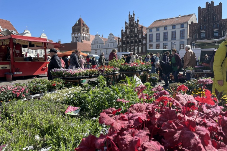 Gartenmarkt lädt zum Schnökern und Verweilen ein