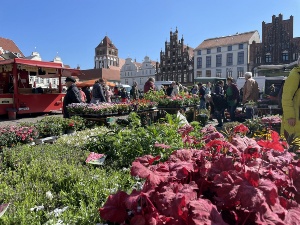 Gartenmarkt lädt zum Schnökern und Verweilen ein