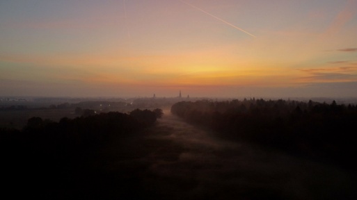 Wiesen bei Greifswald