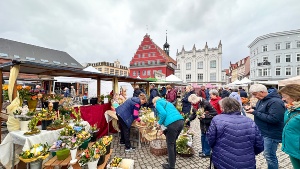 Oster--und-Blumenmarkt-(c)-André-Gschweng-IMG_4458 © André Gschweng Markttreiben auf dem historischen Marktplatz von Greifswald