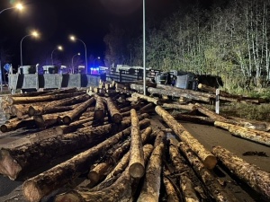 Baumstämme liegen quer über die Straße verteilt