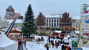 Blick aus dem Rathaus auf dem Marktplatz, auf dem zwei Feuerwehrfahrzeuge mit Drehleitern um den Baum stehen
