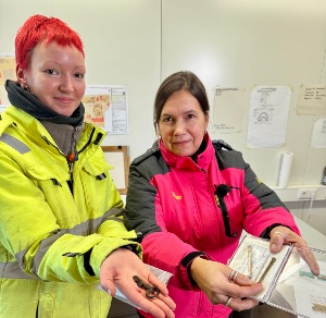 Carlotta Ehling und Claudia Maria Melisch zeigen Funde der archäologischen Ausgrabung vor dem Steinbecker Tor