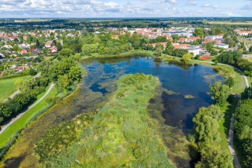 Luftaufnahme vom Ellernholzteich mit seinem Rundweg