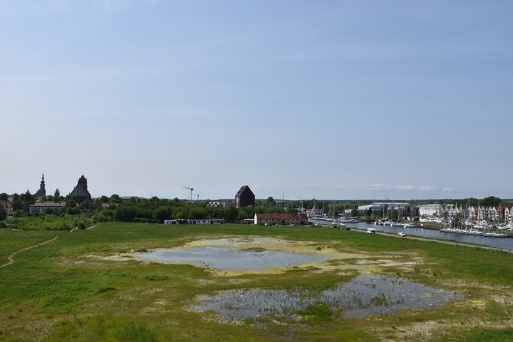 Blick auf den B-Plan 55 vom Stadtarchiv aus
