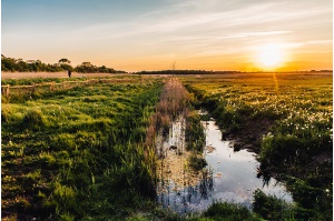 Sonnenuntergang am Deich