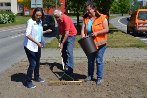 Jeannette von Busse, Peter Multhauf und Annett Mauf säen Wildblumensamen aus