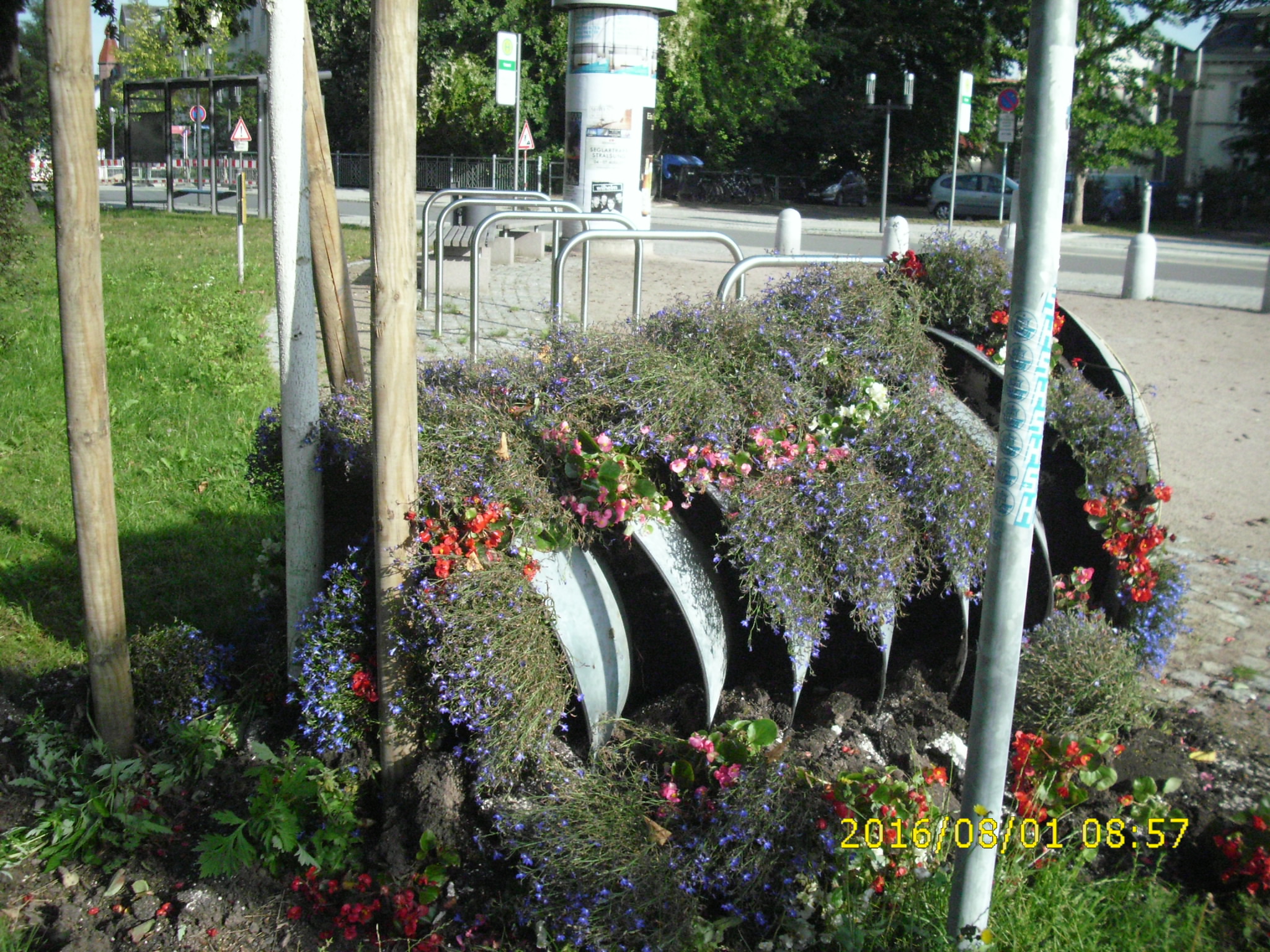 /export/sites/hgw/de/.galleries/Pressestelle-Pressemitteilungen/zerstoerte-Blumenkaskade.JPG