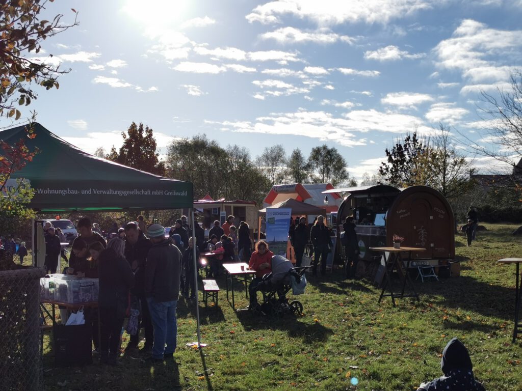 Drachenfest Bild Drachenfest Bild