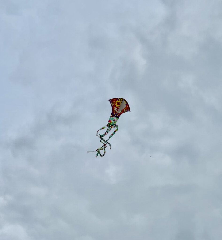Drachenfest Bild Drachenfest Bild