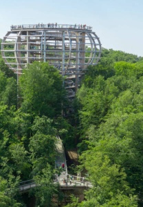 Baumwipfelpfad & Aussichtsturm