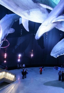 Ozeaneum Stralsund
