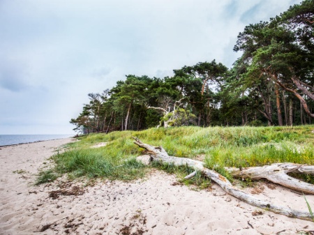 Naturstrand Ludwigsburg