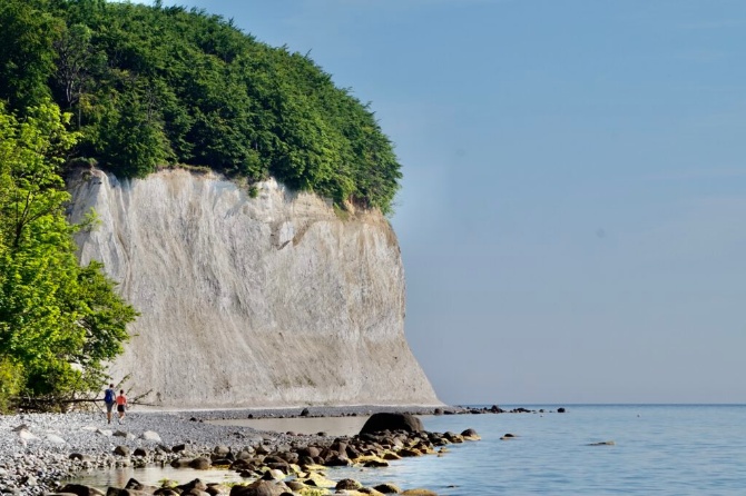 JASMUND JASMUND