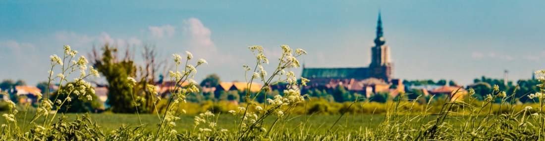 Start_Jubiläumswoche_Panorama_(c)_WallyPruss © Wally Pruß Stadtsilhouette mit Blick auf den Dom St. Nikolai